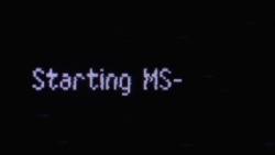 Начало: хиппи из Калифорнии, Носик и лихие 90-е