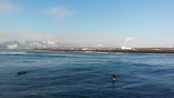 Человек на карте: история первой и единственной зимней школы серфинга в России