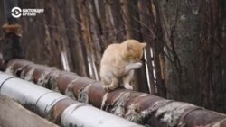 Неизвестная Россия: история о селе "торфяного рая"